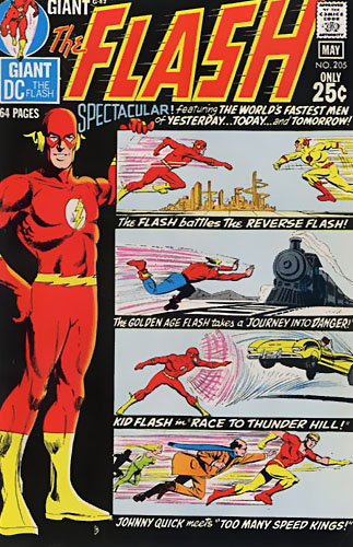 The Flash Vol 1 # 205