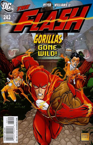 The Flash vol 2 # 242