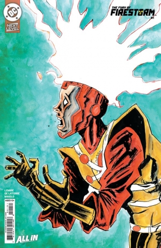 The Fury of Firestorm # 1