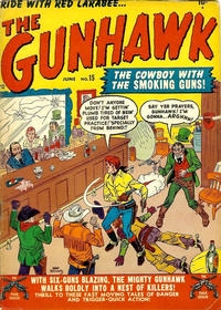 The Gunhawk # 15