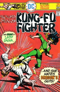 Richard Dragon, Kung-Fu Fighter # 5