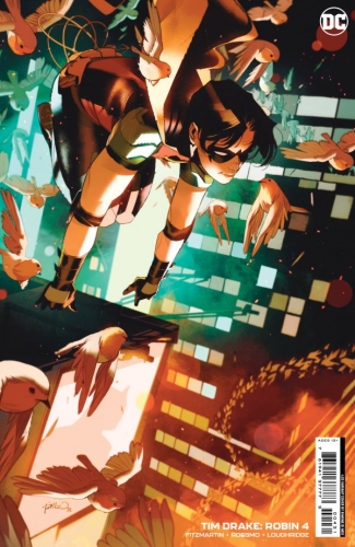 Tim Drake: Robin # 4