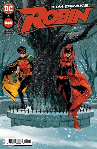 Tim Drake: Robin # 8