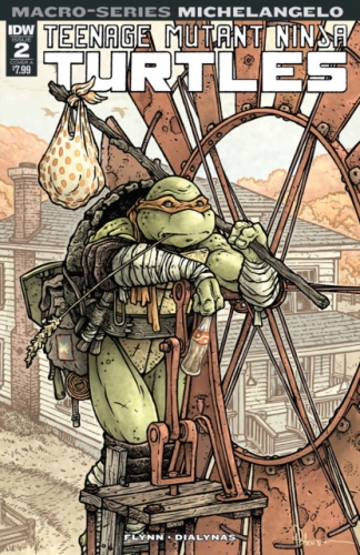 Teenage Mutant Ninja Turtles Macro-Series # 2