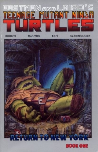 Teenage Mutant Ninja Turtles vol 1 # 19