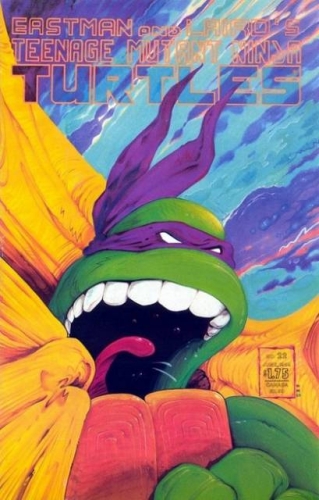 Teenage Mutant Ninja Turtles vol 1 # 22