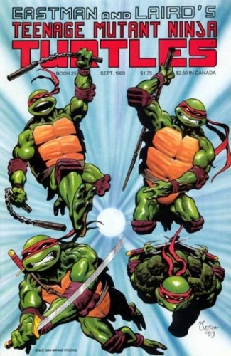 Teenage Mutant Ninja Turtles vol 1 # 25