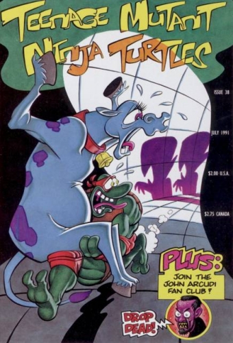 Teenage Mutant Ninja Turtles vol 1 # 38