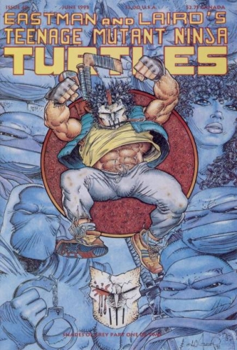 Teenage Mutant Ninja Turtles vol 1 # 48