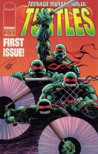 Teenage Mutant Ninja Turtles VOL 3 # 1