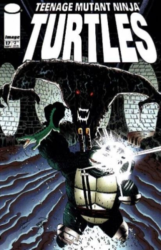 Teenage Mutant Ninja Turtles VOL 3 # 17