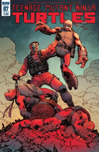 Teenage Mutant Ninja Turtles Vol 5 # 87