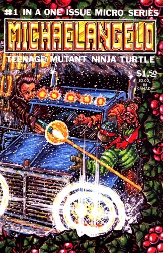 Teenage Mutant Ninja Turtle in a One-Issue Micro-Series # 2