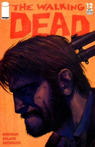 The Walking Dead # 12