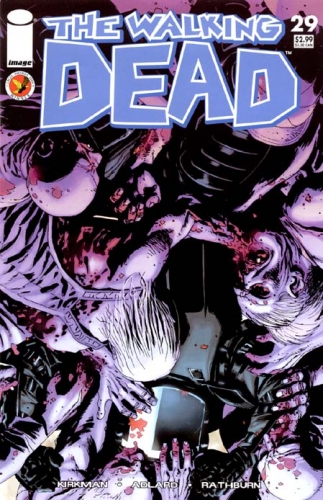 The Walking Dead # 29