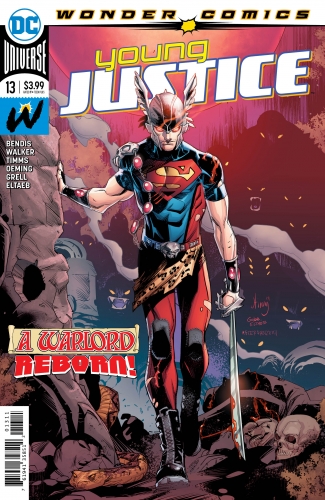 Young Justice vol 3 # 13